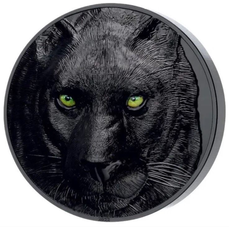 PALAU $ 25 2022 1/2 Kilo Silberjäger bei Nacht - Black Panther