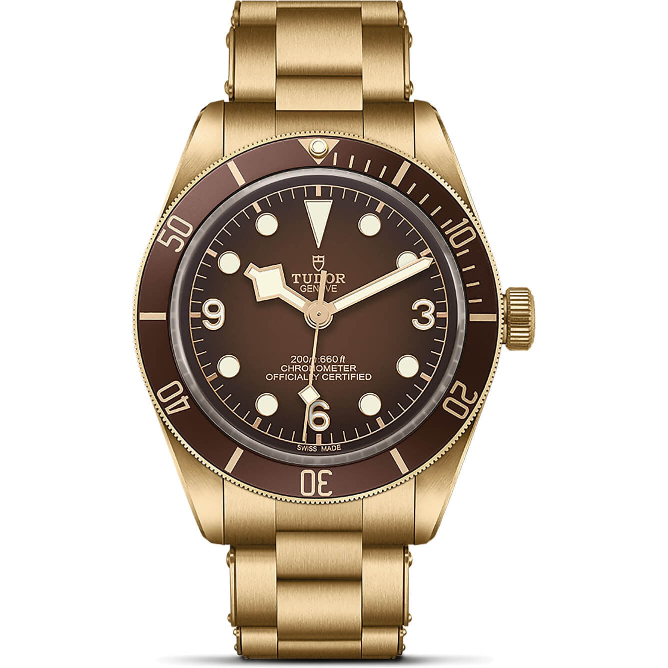 TUDOR Black Bay 58 M79012M-0001 BOUTIQUE EDITION